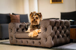 The Glamour Luxury Pet Bed in Beige