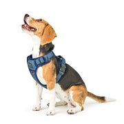 The NoMad Adjustable Luxe Harness - Denim