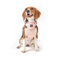 Load image into Gallery viewer, DOGISTRY The NoMad Adjustable Luxe Harness - Sweetheart