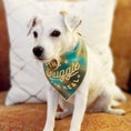 Load image into Gallery viewer, The Snuggle is Real Luxe Flannel Dog Bandana