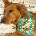 Load image into Gallery viewer, The Snuggle is Real Luxe Flannel Dog Bandana