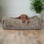 The Franklin-Leopard