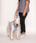 Load image into Gallery viewer, Harness - Southlake Paws
