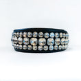 Load image into Gallery viewer, Toxic Crystal Dog Collar