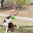 Load image into Gallery viewer, Tree Tugger