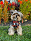 Load image into Gallery viewer, Trick for Treat Halloween Dog Bandana