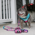 Load image into Gallery viewer, Frenchie Duo Reversible Harness - Tropical Palms