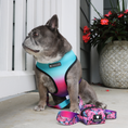 Load image into Gallery viewer, Frenchie Comfort Leash - Tropical Palms - Southlake Paws