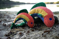 Load image into Gallery viewer, Rauccous Rainbow Trout Knottie® Plush Dog Toy - image 9