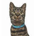 Load image into Gallery viewer, Up Country Tuna Breakaway Cat Collar
