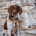 Load image into Gallery viewer, Up Country Turkey Trot Cast Brass Dog Leash