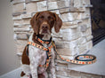Load image into Gallery viewer, Turkey Trot Small Breed Dog Harness