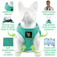 Load image into Gallery viewer, EcoBark Step In Dog Harness - XXXS to Small Breeds- Reflective Soft Mesh Harness for Teacup, Small Dogs and Puppies / Mint Turquoise