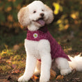 Load image into Gallery viewer, Up Country Pink Tweed Coat Pet Accessory