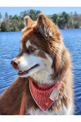 Load image into Gallery viewer, Twilight Trails Bandana & Matching Keychain - Southlake Paws