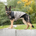 Load image into Gallery viewer, US Army Dog Jacket - Camo