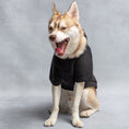 Load image into Gallery viewer, US Army Hooded Dog Fleece - Black