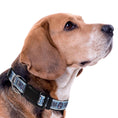 Load image into Gallery viewer, U Of North Carolina Satin Collar
