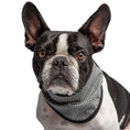 Load image into Gallery viewer, US Army Dog Cooling Bandana - Grey