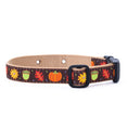 Load image into Gallery viewer, Underground Fence Dog Collar - Harvest Time