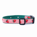 Load image into Gallery viewer, Strawberry Fields Dog Collar By: Up Country