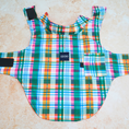 Load image into Gallery viewer, IZOD Pet - Frandy
