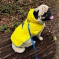 Load image into Gallery viewer, Tommy Bahama Pet - Packable Raincoat