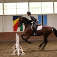Load image into Gallery viewer, Sally Batton Pommel Blocker in use by a rider on a horse jumping over a fence in an indoor arena.