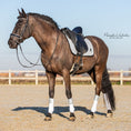 Load image into Gallery viewer, Royal Silver Saddle Pad by Southlake Paws displayed on a brown horse in an outdoor arena, featuring a sleek design and matchi