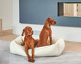 Load image into Gallery viewer, Bowsers Urban Lounger Orthopedic Dog Bed in ash