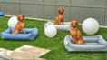 Load image into Gallery viewer, Bowsers Outdoor Urban Lounger Dog Bed in dune