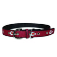 Load image into Gallery viewer, Kansas City Chiefs Signature Pro Collar