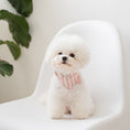 Load image into Gallery viewer, Nooee Pet Collar Daisy