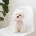 Load image into Gallery viewer, Nooee Pet Collar Daisy