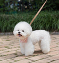 Load image into Gallery viewer, Nooee Pet Collar Daisy