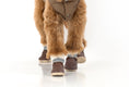 Load image into Gallery viewer, The Stassi- Dog Snow Boots