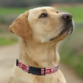 Load image into Gallery viewer, Wisconsin Satin Collar
