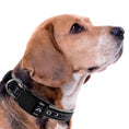 Load image into Gallery viewer, Chicago White Sox Satin Collar