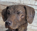 Load image into Gallery viewer, Labrador Retriever Dog Pet Bronze Bust Sculpture Statue Figure on Marble Base