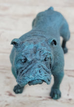 English Bulldog Bronze Metal Figurine Sculpture Original Art Collectible Blue Patina