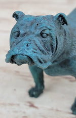 English Bulldog Bronze Metal Figurine Sculpture Original Art Collectible Blue Patina
