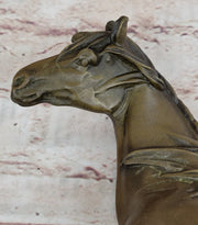 Arabian Horse Bronze Statue Sculpture PJ Mene Equestrian Stables Decor 10