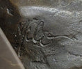Load image into Gallery viewer, Signed Milo African Rhinoceros Rhino Bronze Figurine Sculpture Statue on Marble Base