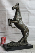 Load image into Gallery viewer, Rearing Arabian Horse Stallion Bronze Statue Sculpture Figure Equestrian Farm Stable Decor