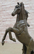 Load image into Gallery viewer, Rearing Stallion Horse Bronze Sculpture Statue Equestrian Horses Decor Signed Original Art
