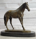 Arabian Horse Mare Bronze Figure Sculpture Statue Equestrian Decor on Marble Base
