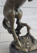 Rearing Horse Bronco Stallion Bronze Statue Sculpture Figure Marble Base 12