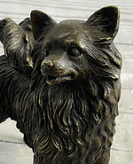 Pomeranian Breed Puppy Dog Bronze Figurine Figure Sculpture Statue Signed Art