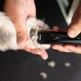 Load image into Gallery viewer, Pet Fidela Cordless Trimmer by Wahl