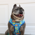 Load image into Gallery viewer, Frenchie Duo Reversible Harness - Waikiki